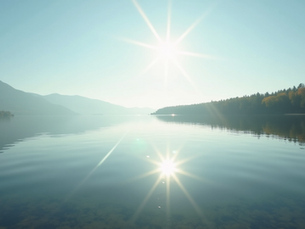 Boost Your Emotional Resilience Today