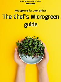 Screen Shot 2025-09-07 at 2.46.43 PM.png