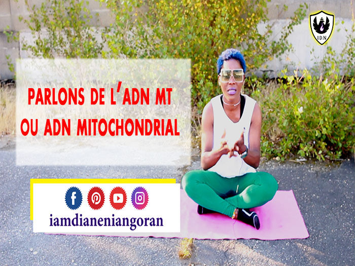 Sur le blog iamdianeniangoran,idn motivation