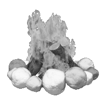 FEU-DE-CAMP-OG-GIF-copie.gif