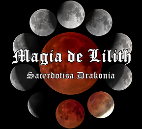 folder curso 1.png