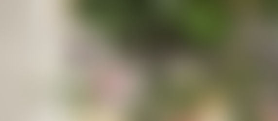 Growing - Ranunculus & Anemones