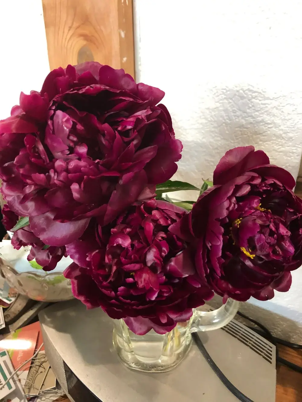 Peony Peter Brand