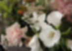external-file_edited_edited_edited.jpg