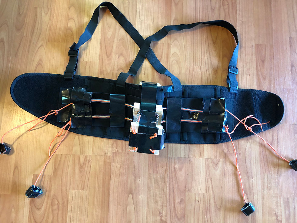 Evo-Prosthesis Concept 2