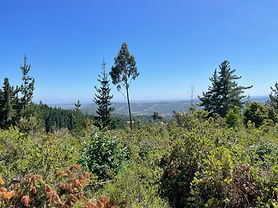 Increible vista en TUMÁN