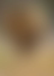 The Sasan – Gir Wildlife Reserve