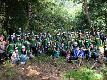 MMP CORP.หนุนโครงการ "ปลูกป่าไผ่ ปลูกชีวิตชุมชน"