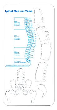 Medical custom templates Medical custom templates