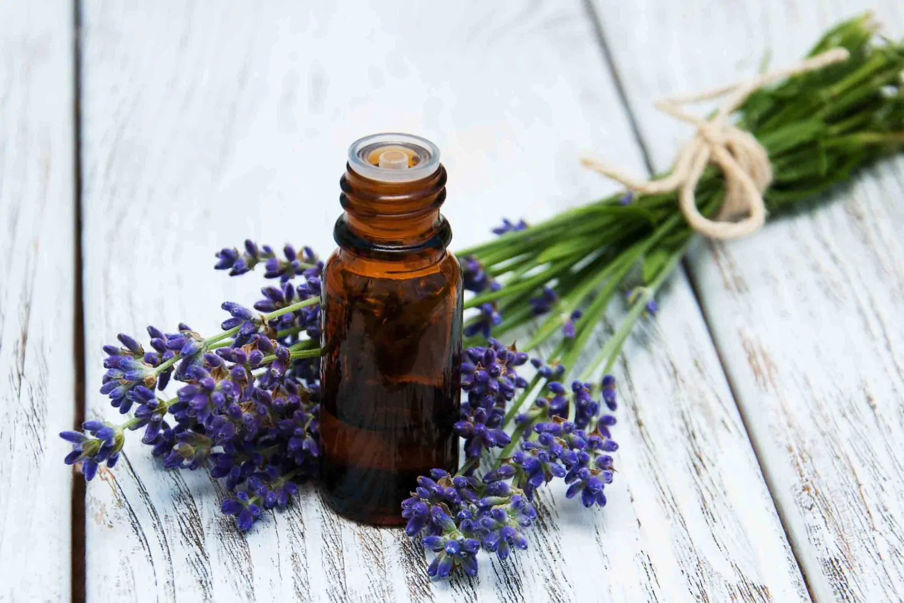 lavender essential oil