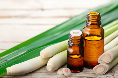 lemongrass essential oil