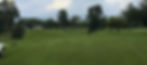 IPHONE%20262_edited.jpg