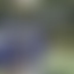 31期 引退ブログ ー井上琳太郎ー