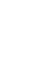 Pin.png
