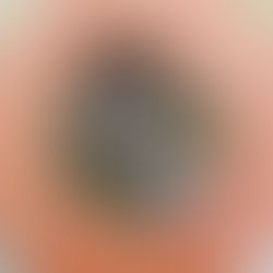 Ruled.me Mississippi Pot Roast