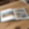 The book .png