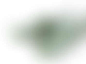 Eucalyptus Shower Spirit Spell