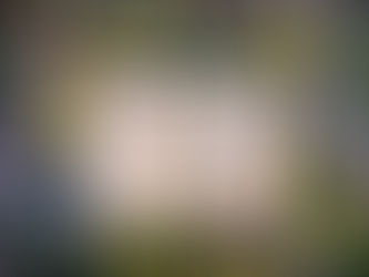 How to Celebrate Beltane