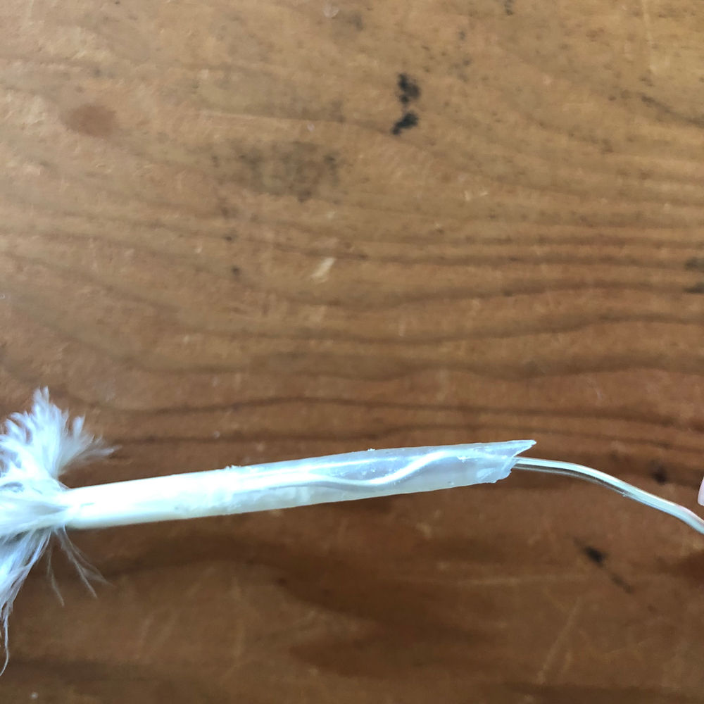 How to Make a Quill Pen