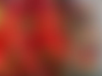 April Farmers Market Magic