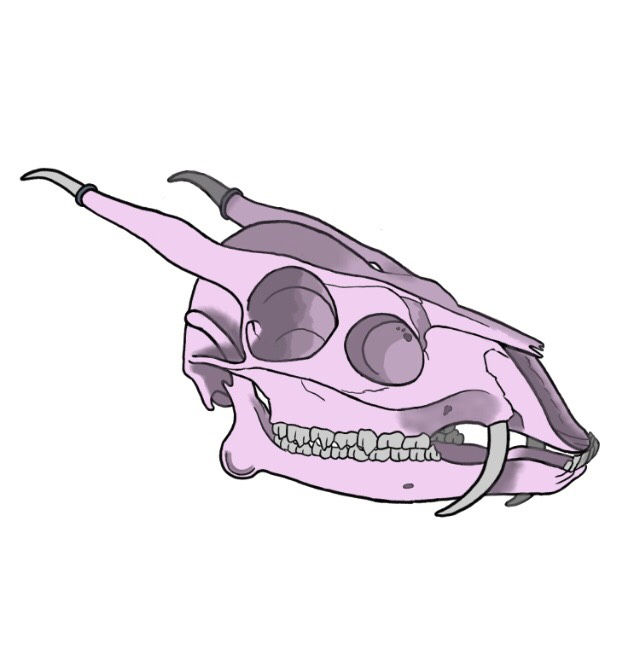 ree