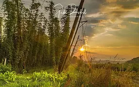 galerie18.webp