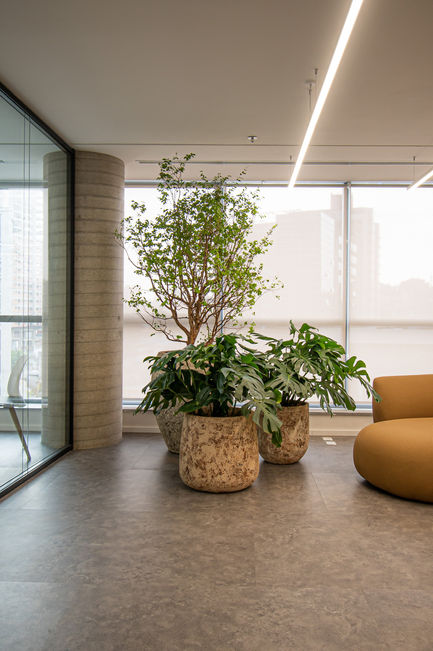 LUCAS-RODRIGUES-PROJETO-01-2 - Copia