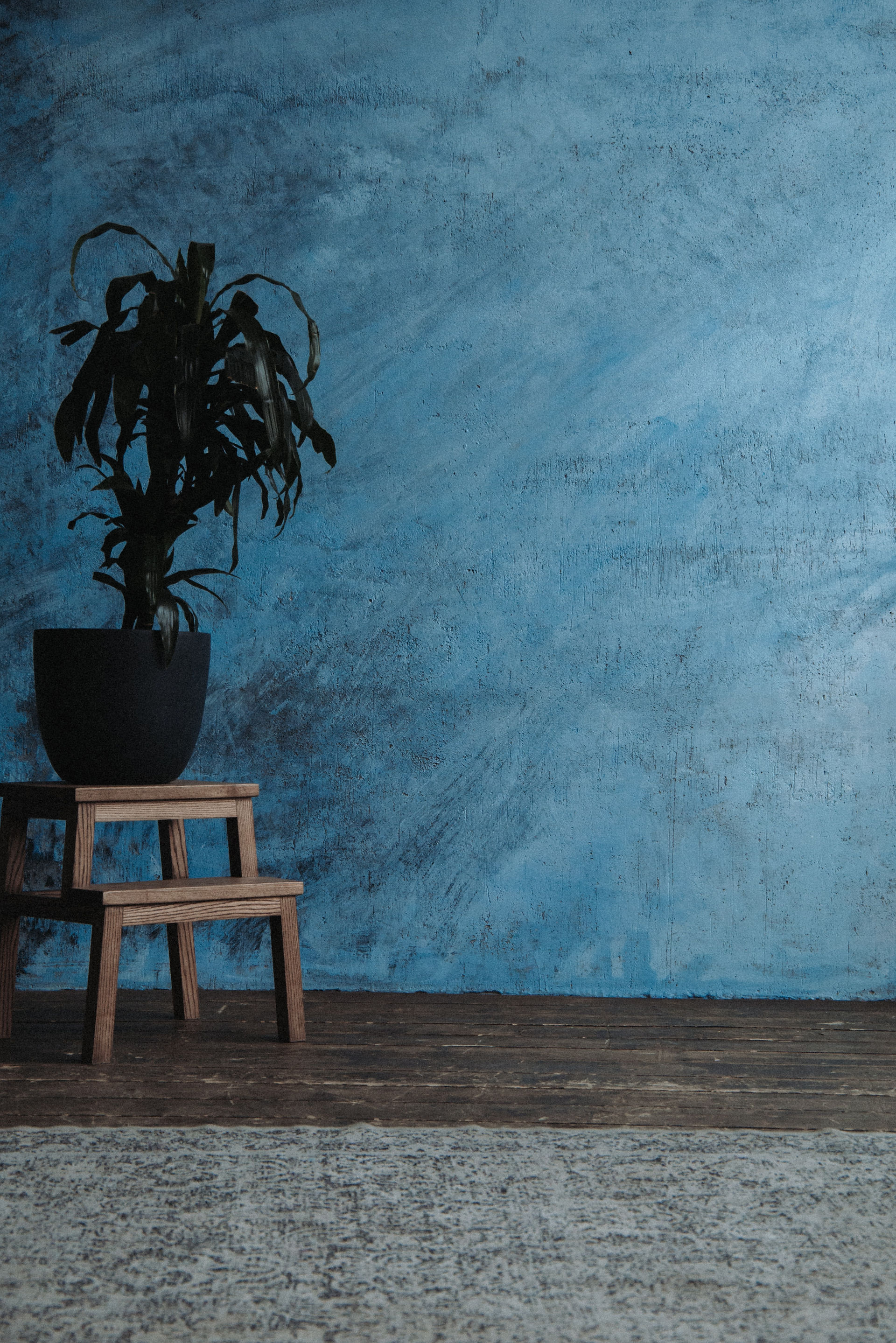 Pièce avec un mur bleu, sans oeuvre d'art apparant, petite plante sur tabouret, décoration fade.