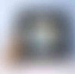 Renard mini format encadré déco accessible art symbolique spontanéité