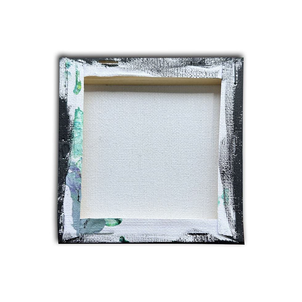 Miniature : tortue toile noire, couleurs vive et lumineuse