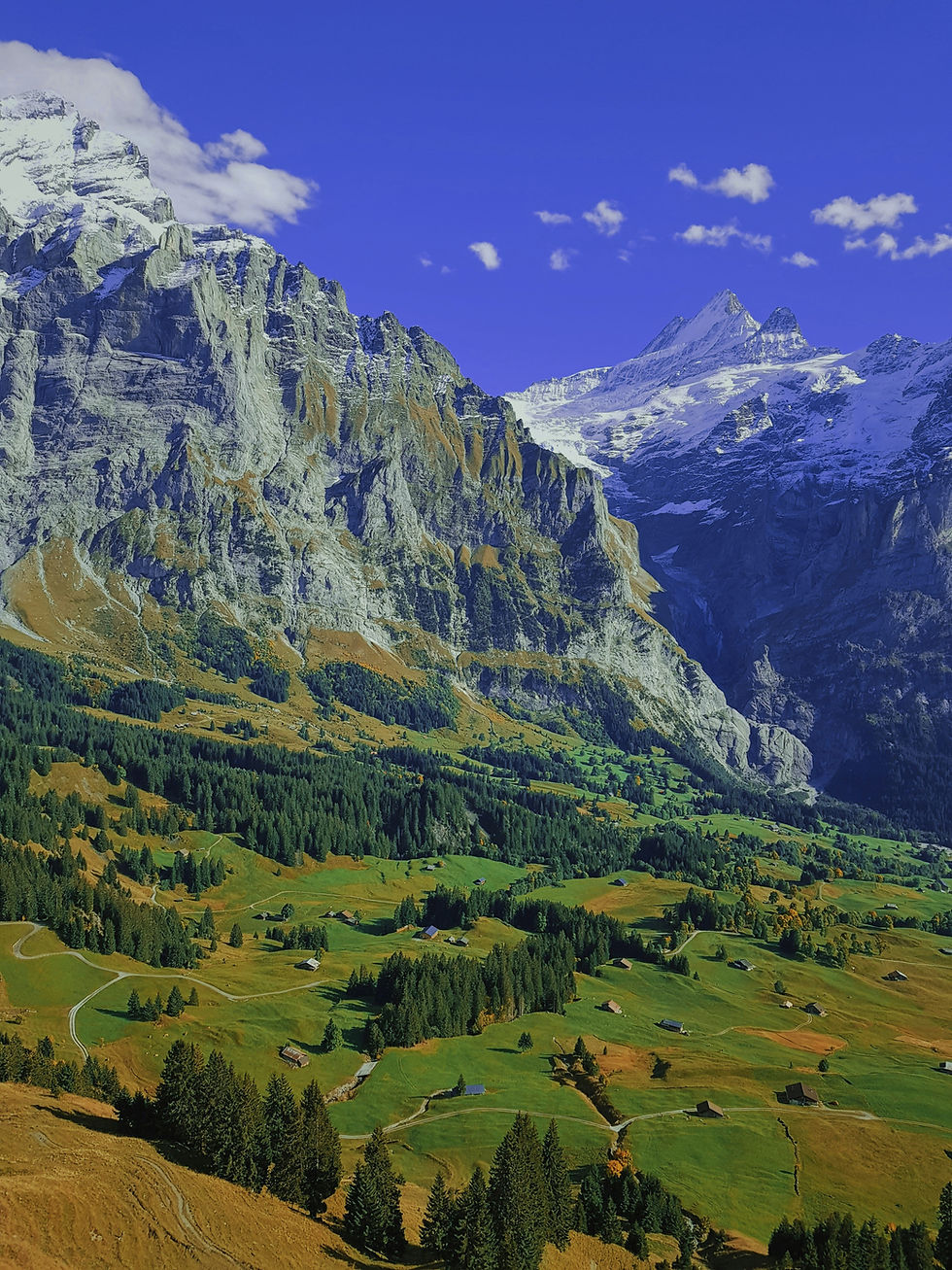 Paysage estival de l'arrière-pays niçois, source d'inspiration de la série Chuchotements intérieurs en Provence
