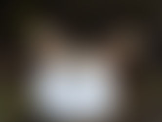 And what a wonderful day it was!