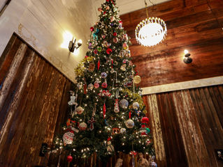 Now THAT is an amazing shot of the chapel Christmas fir! It reminds me of the Polar Express tree!