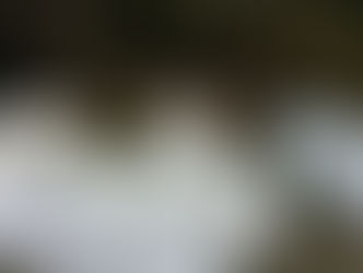 Love this serene setting for dinner!