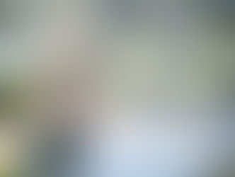 Such a beautiful, ethereal bridal image...