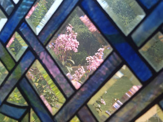 Clicked on this photo by accident, and then decided it was so pretty I would leave it at the top!
