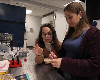 Screenshot 2025-11-04 114544.png