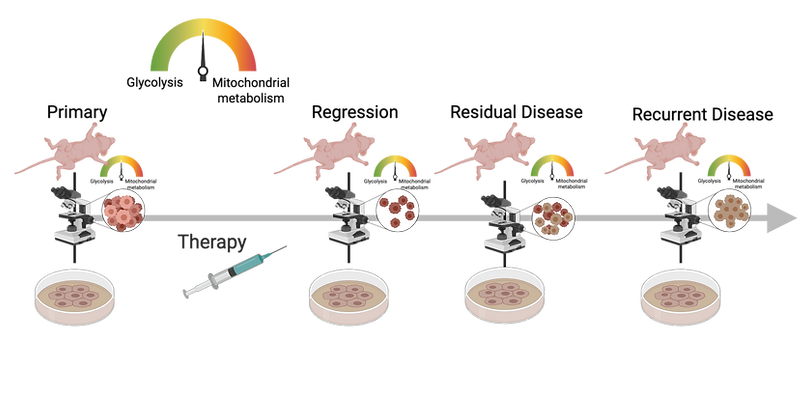 Copy of Breast GWHT Website summer 2025 v1.png