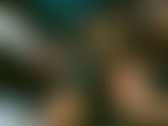 State Champs Announce "Around The World In Back" 10 Year Anniversary Tour