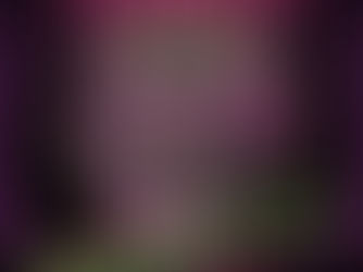 The Funeral Portrait to Release First Ever Live Album, “Live From Suffocate City”