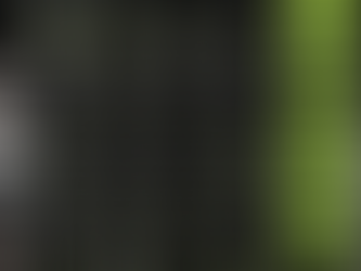 Tool, Pantera, Megadeth, Limp Bizkit, Papa Roach, Gojira Lead Massive 2026 Louder Than Life Lineup