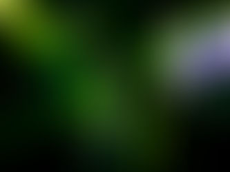 Soulja Boy Takes The Stage at Trees