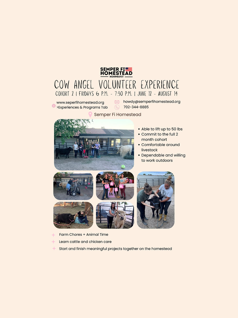 COHORT IS FULL! - Cow Angel Volunteer Experience
