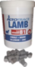 Actotrace_Lamb-removebg-preview.png