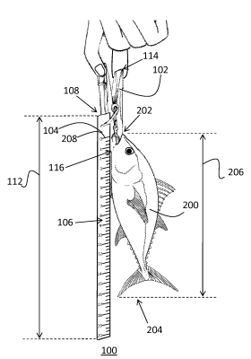 Fish Measuring Device