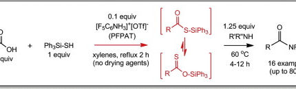 Tetrahedron Letters Publication