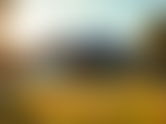 Find Affordable Solar Solutions for Your Texas Home