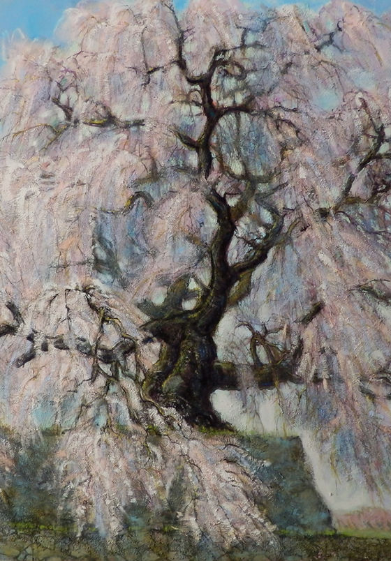 宮崎毅作品紹介（桜、人物）