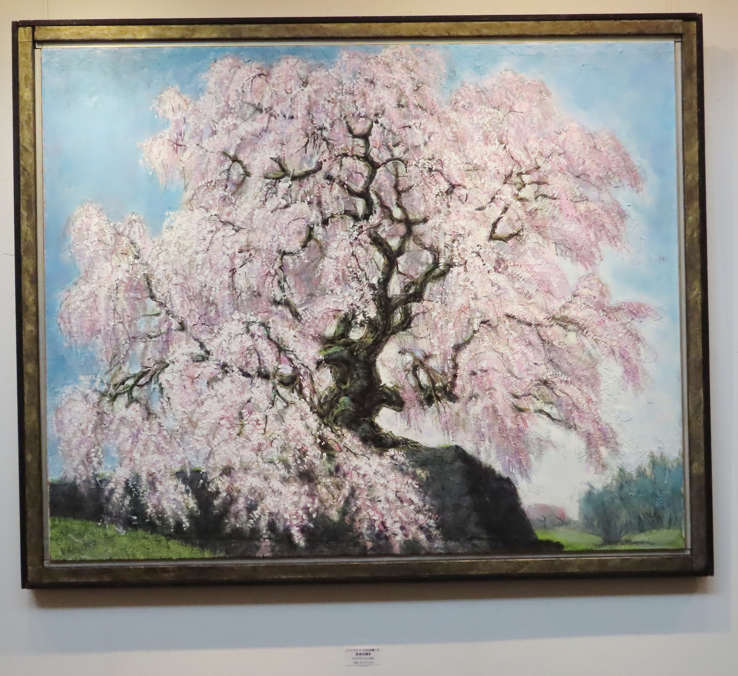 PROFILE | 宮崎毅作品紹介（桜絵画、人物画）