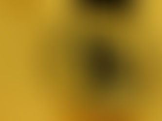 Bitcoin in 2025: Revolution, Politics, and Global Adoption